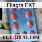 Filagra FXT 06